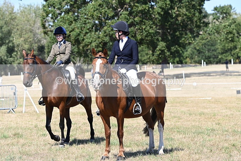 WJ6_8426 - Class 37a Best Loan Pony Ridden