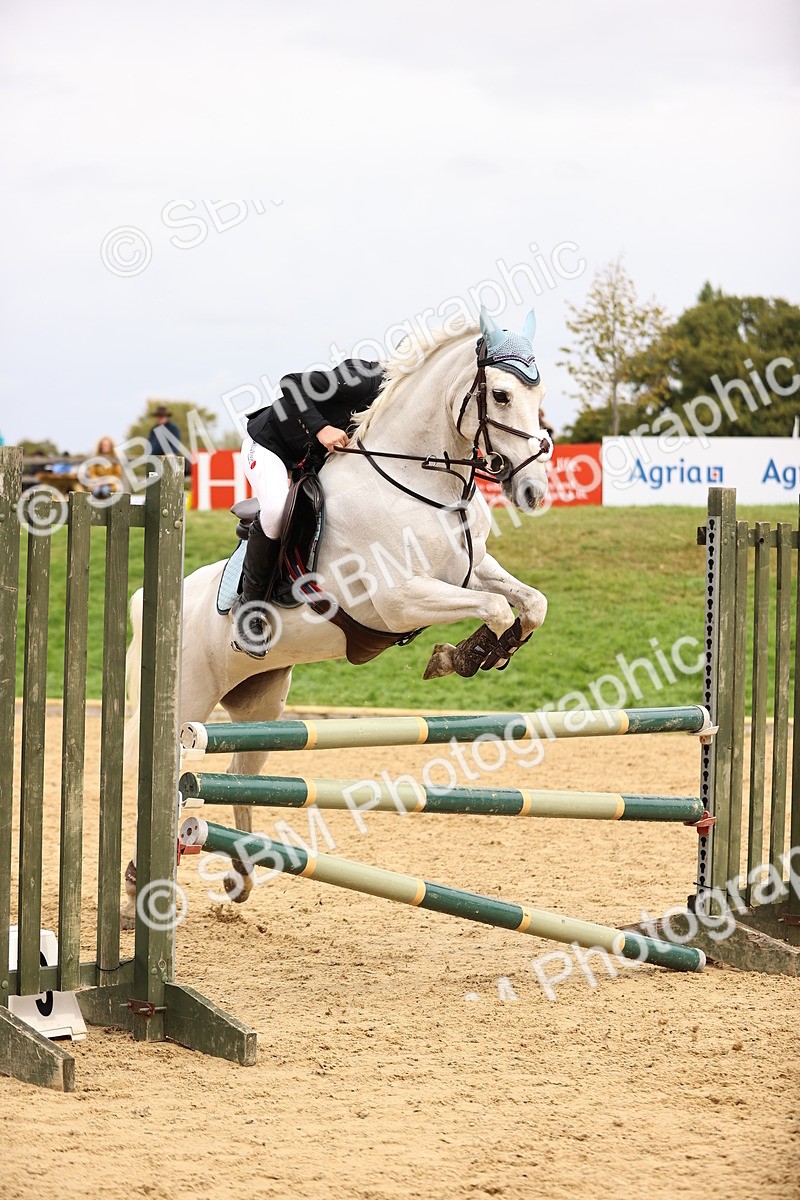 SBM_62934 - Supreme Championship 95cm 1.00m
