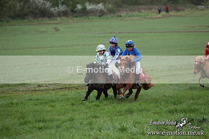 SHETPR 210425 167 - Shetland Ponies Paxford Races 21/04/25