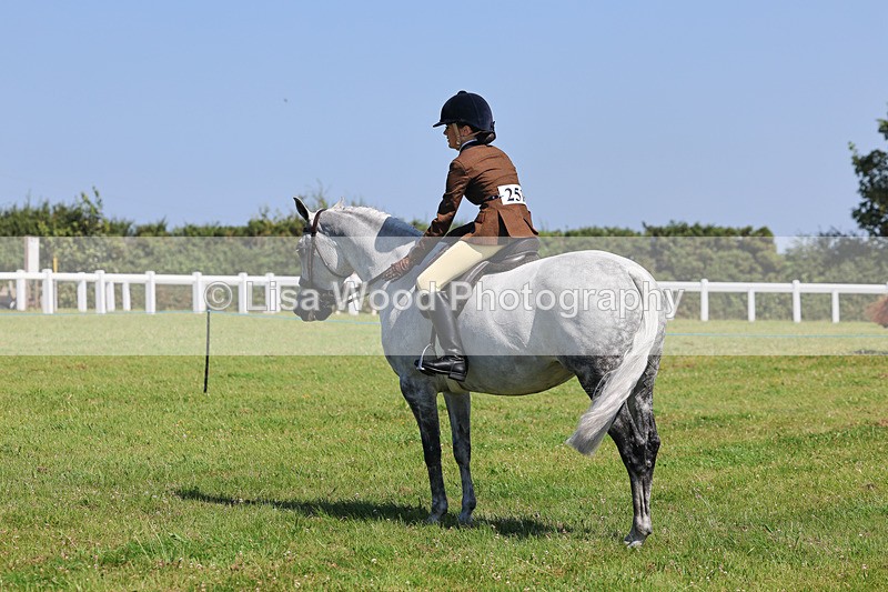 IMG_2183 - Class 36: Part Bred Ridden M & M