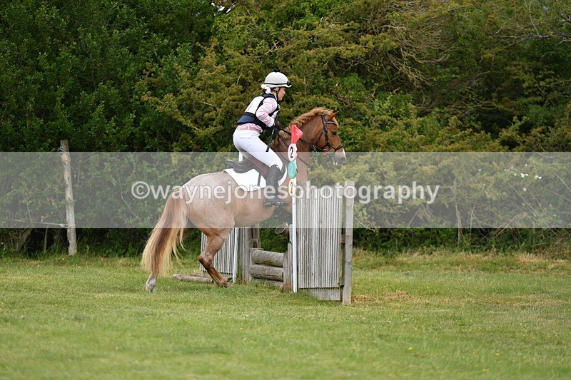 WJ5_2489 - Class 2 40cm