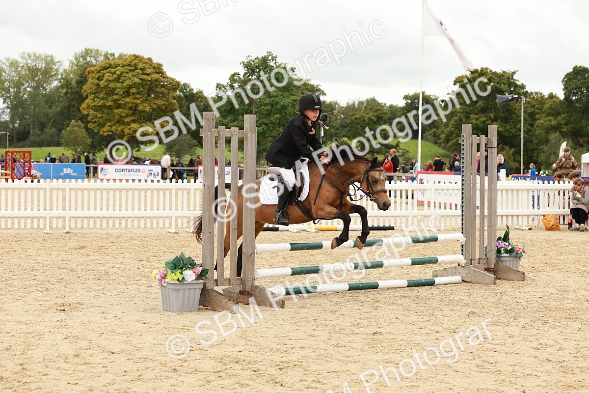 SBM_61868 - J12 - Junior Pony 55cm Championship