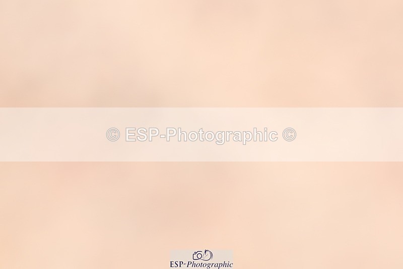 240622A-152840-12424 - Cls 35 BD Adv Medium 91