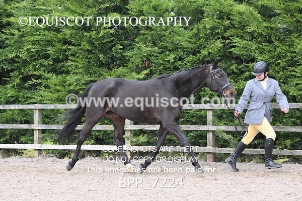 BPP_7224 - RING 1  (RIDDEN HORSES / IN HAND / VETERAN ETC)