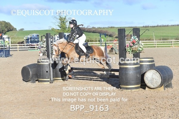 BPP_9163 - CLASS 2 50CM