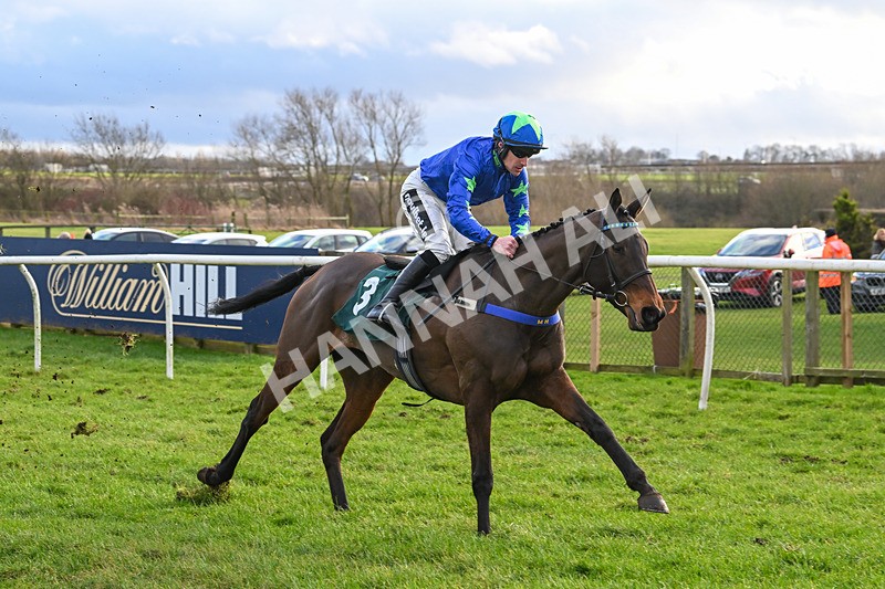 020224-Race 5-Shighness-8559 - Race 5