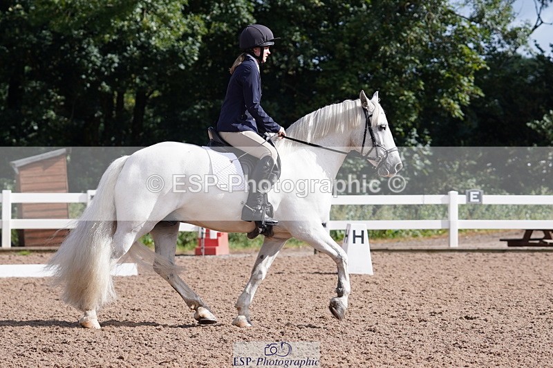 240809A-093138-00259 - Dressage Competition
