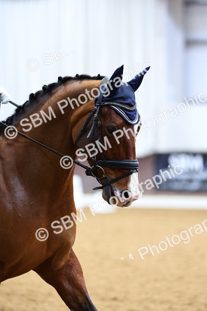 SBM_002007 - Class 14 - N6