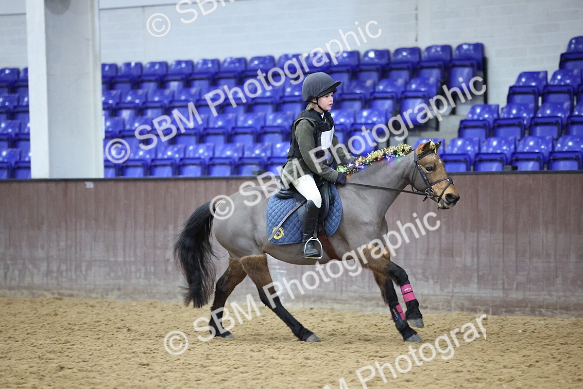 SBM_001141 - Class 3 - Christmas Tree Stakes - 60cm