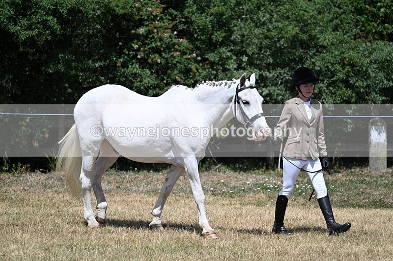 WJ7_2160 - Class 5 Most Handsome Gelding (up to 14.2hh) in hand
