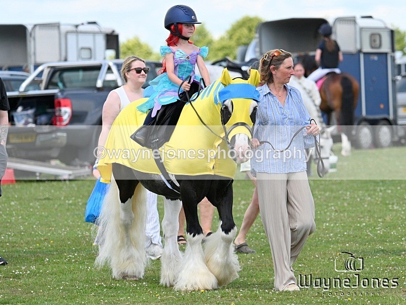 WJ7_7750 - Nancy And Churchill SORC summer show 21-06-26