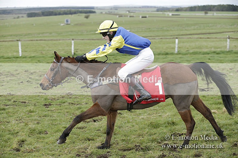 PtP 150320 0833 - New Forest Point-to-Point Larkhill 15/03/20