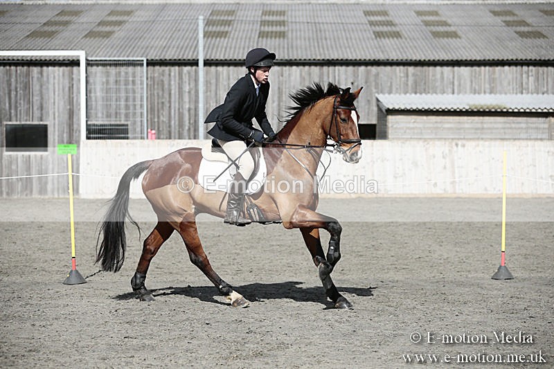 BVRC SJ 170319 493 - Bourne Valley Riding Club Showjumping 17/03/19