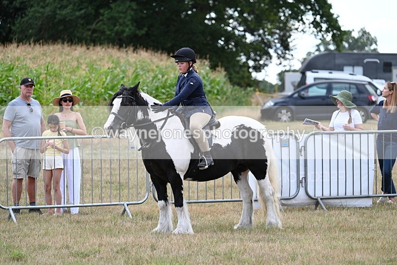 WJ7_5383 - Class 12 Ridden Cob