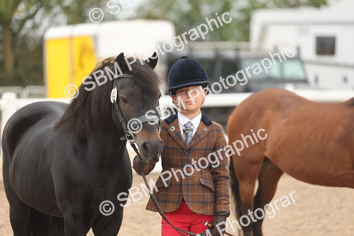 SBM_00556 - Class 13 Young Handler