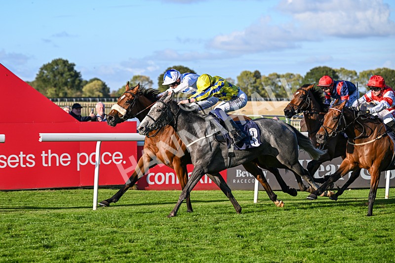 230925-Race 7-Hill O Rue-2474 - Race 7