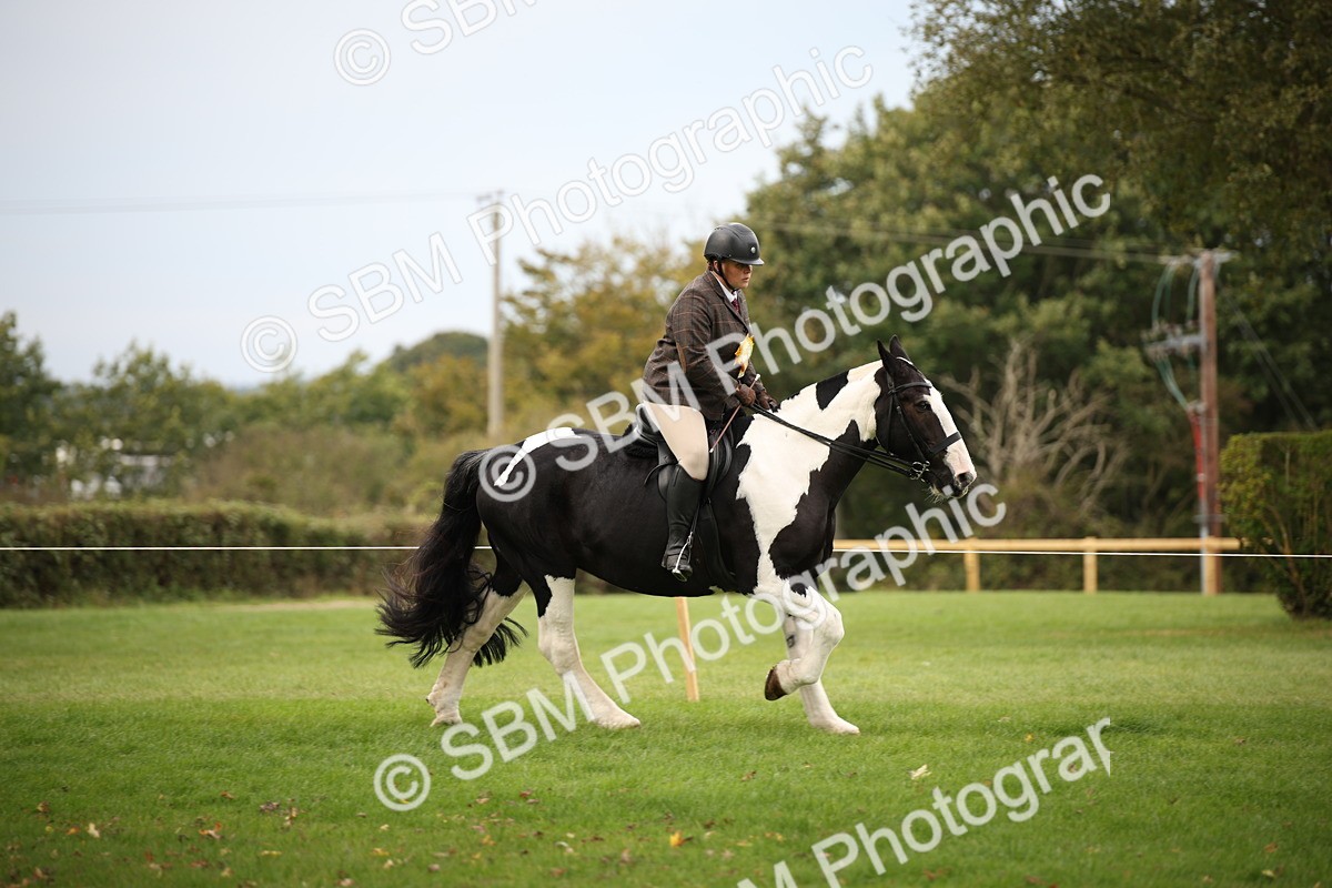 SBM_72418 - S67 - Show Cob Ridden
