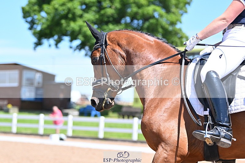 240621A-131715-03694 - Cls 8 BD Elementary 53