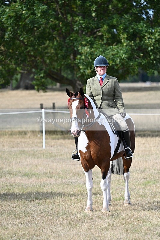 WJ7_7848 - Ridden Championship