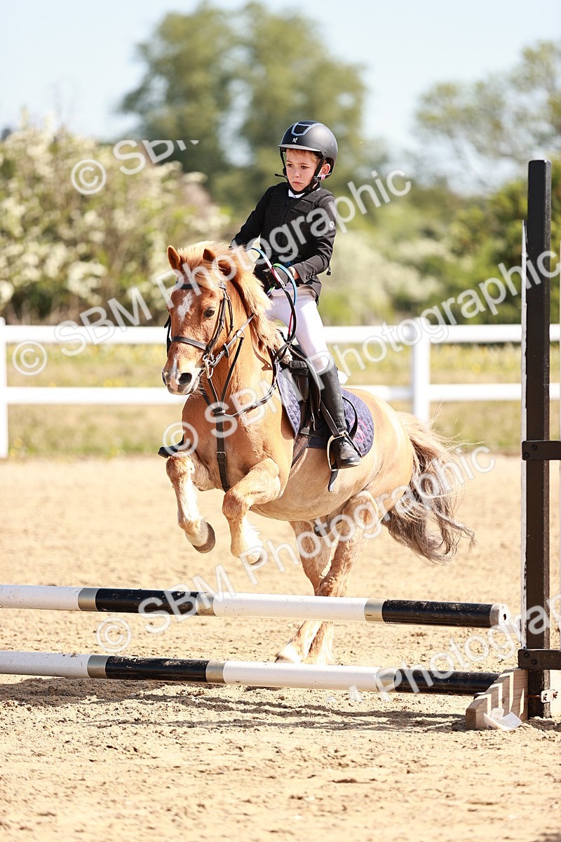 SBM_006894 - Class 2 - 50cm