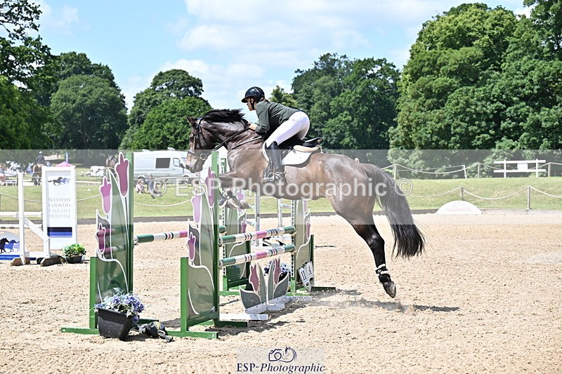 250615A-133725-11010 - Class 47 Snr British Novice 2nd Rnd