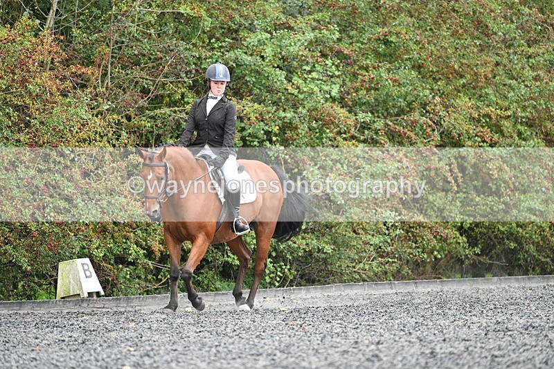 WJ7_3589 - Time 11:04 to 11:38