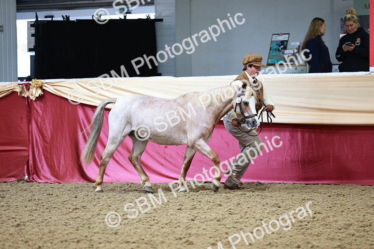 SBM_00886 - Class 2A - Area IH Veteran