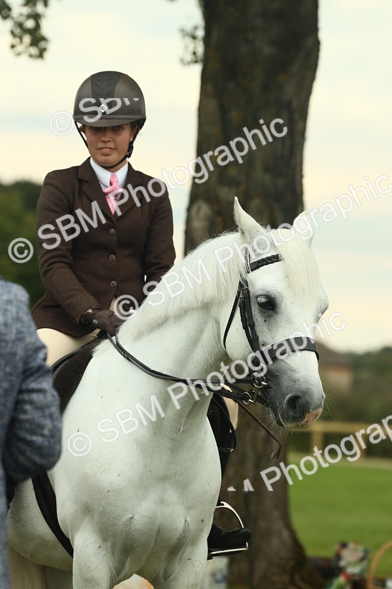 SBM_72295 - S60 - Mountain & Moorland Ridden Large Breeds