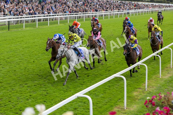 230824-Race 1-Shadow Dance-8304 - Race 1 1.50pm Sky Bet Handicap