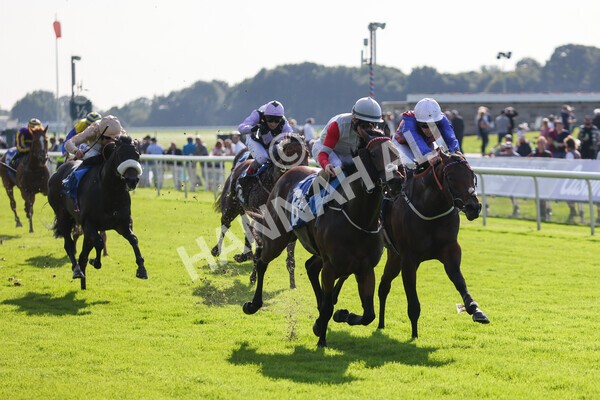 yr08102021r1-18 - Race 1 2.05pm Parsonage Hotel and Cloisters Spa Nursery Handicap