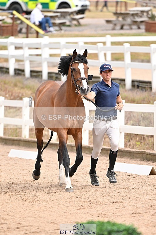 250716-150829-01668 - Trot Up 2.30 to 3.30