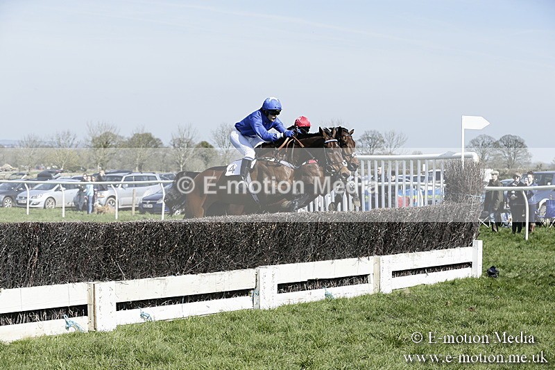 PtP 260317 74 - Mendip Farmers Point-to-Point Ston Easton 26/03/17