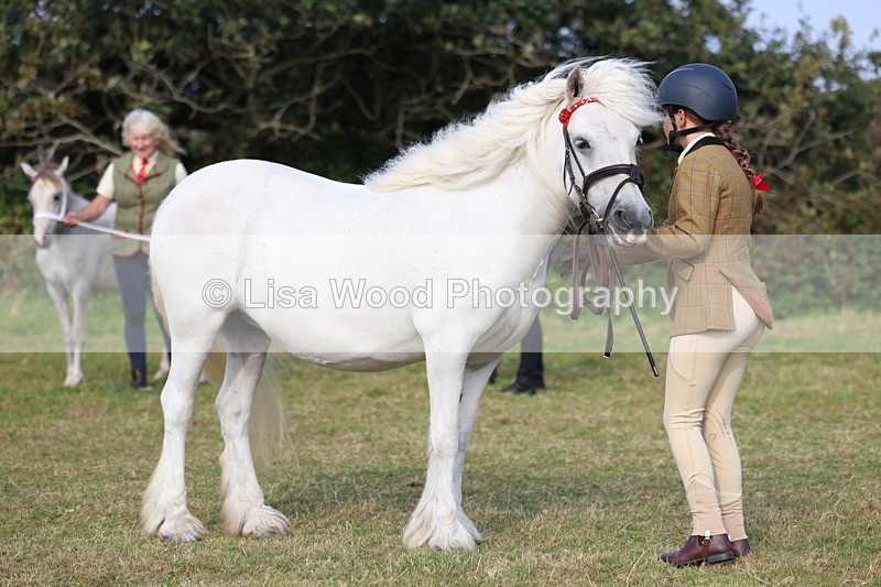 3E7A3278 - Class 12: M & M Small Breeds