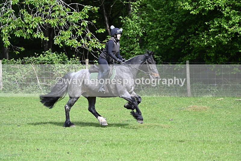 WJ7_2080 - Group 2 A&B Cameras