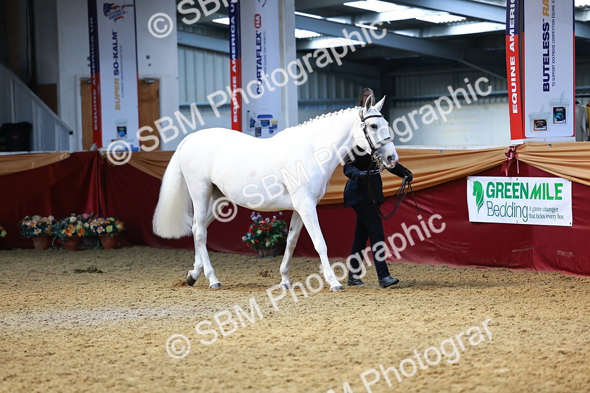 SBM_23048 - Class 903 - Supreme Final - IH Pre Vet