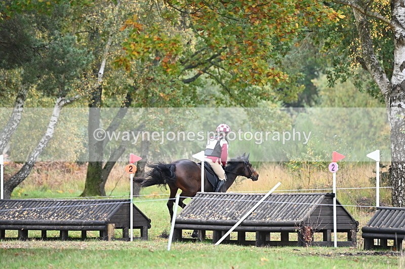 WJ6_3685 - 90cm Cam 1 Time 13:35 to 14:03