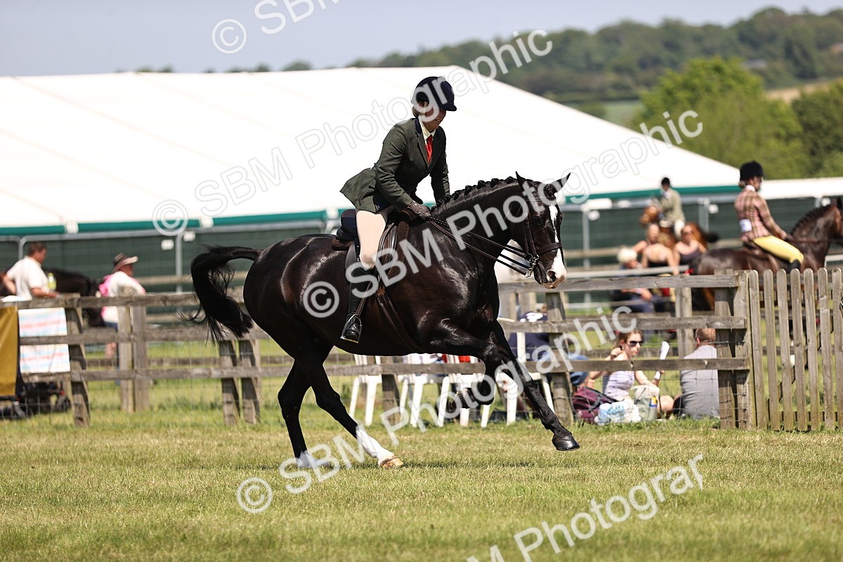 SBM_15183 - Class 79-80 - LIHS BSHA Rising Star Ridden Hunter