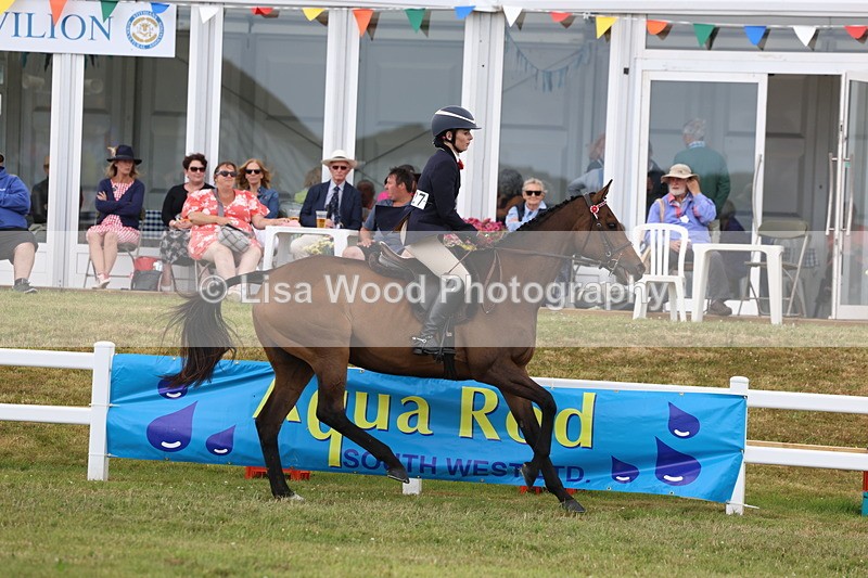 3E7A2397 - Class 11: Retraining of Racehorse