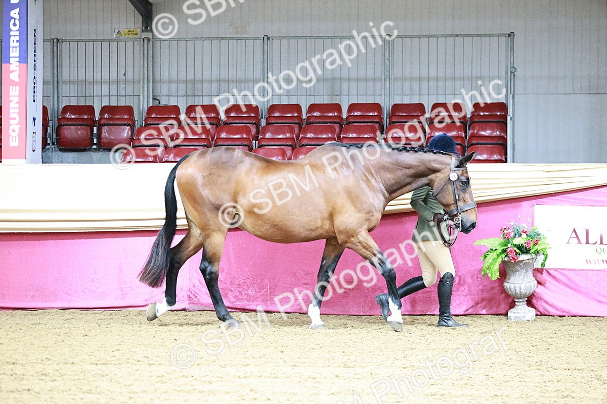 SBM_00137 - Class 1A - Area IH Diamond