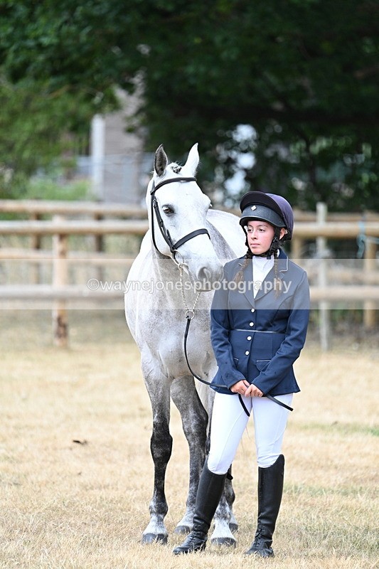 WJ7_1893 - Class 4a Prettiest Mare 14.2hh and over hand