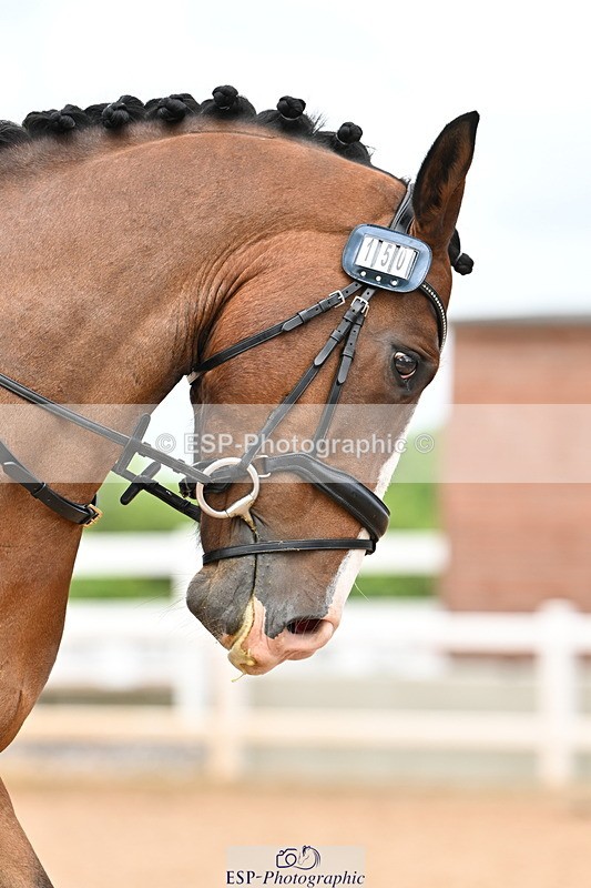 240622A-130949-11583 - Cls 4A Prelim 18