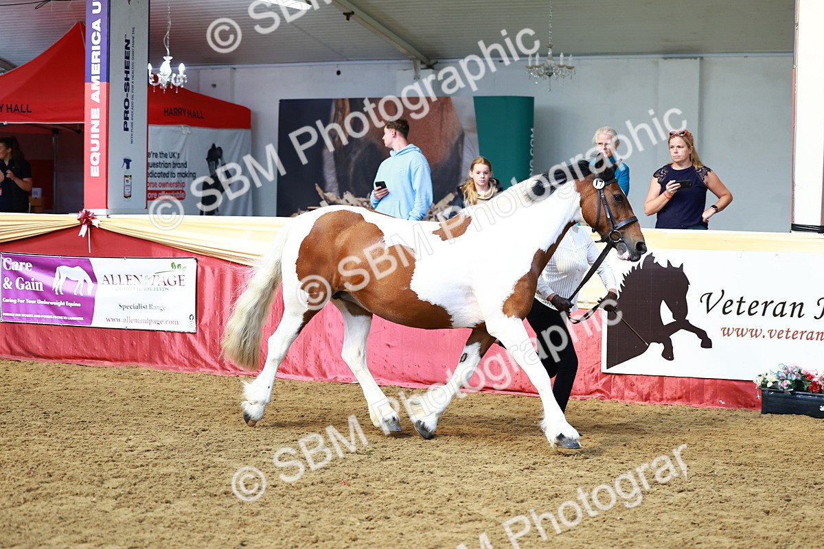 SBM_23039 - Class 903 - Supreme Final - IH Pre Vet