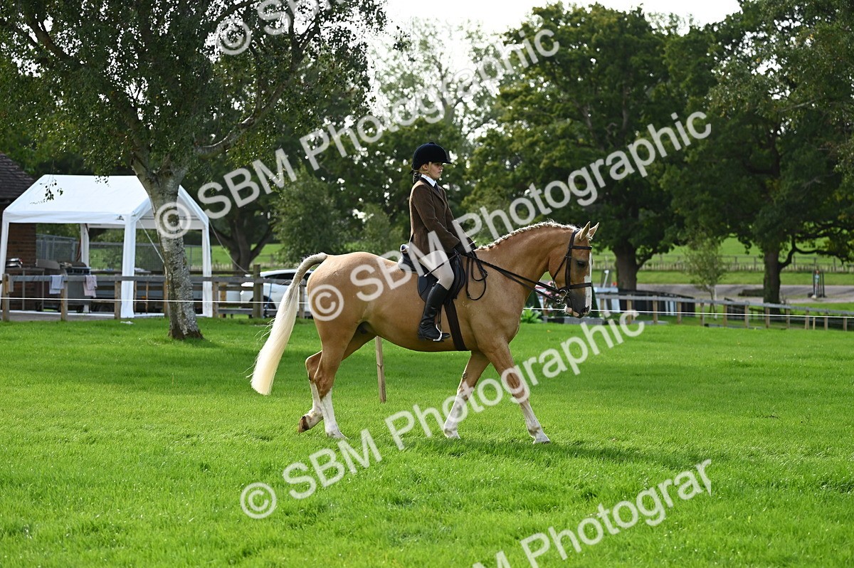 SBM_01245 - S2 - TSR Ridden Horse Showing