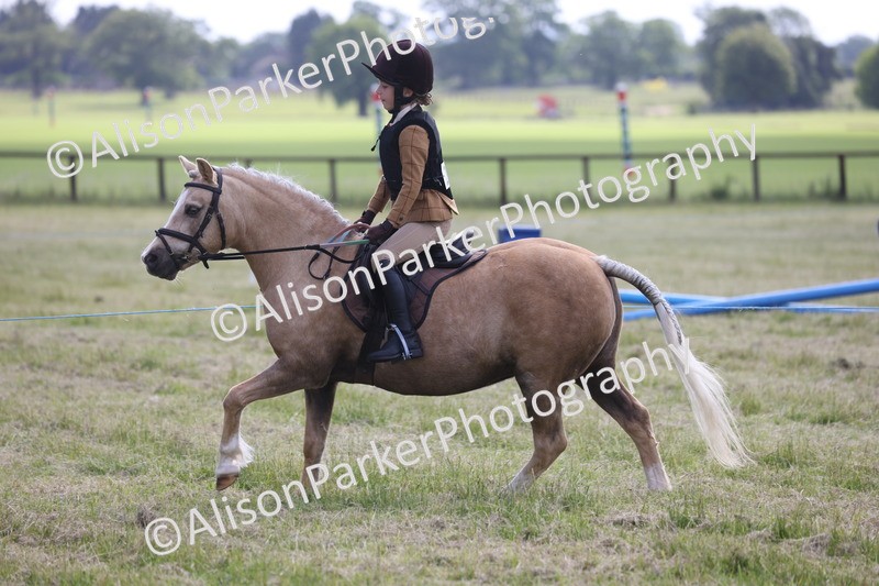 20260614-0460 - Class 20 - Beginners Working Hunter Pony
