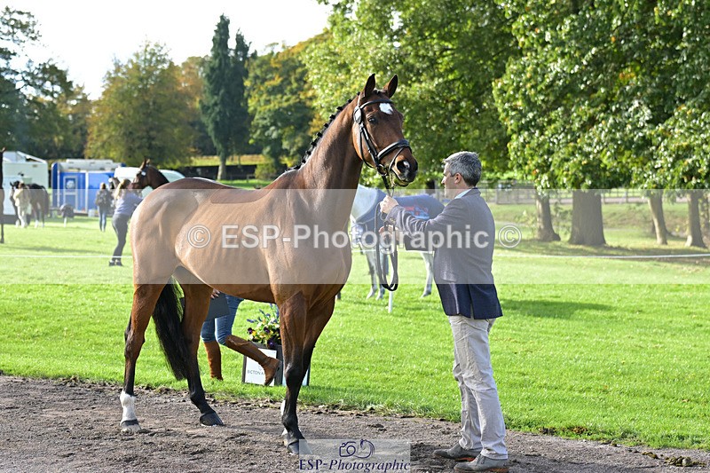 241023-131052-00113 - 006-Mark.Ford-ALVESCOT.FIVE.STAR