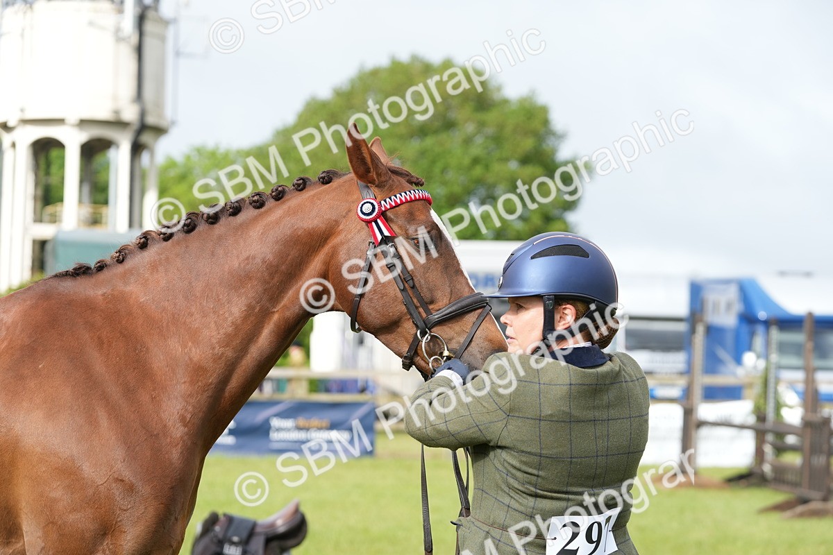 SBM_10623 - Class 97-98 - LIHS BSHA Rising Star Working Show Horse Hunter
