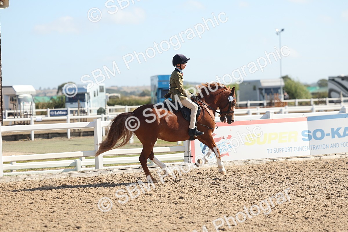 SBM_22606 - Class 804 - Ridden Veteran Pony