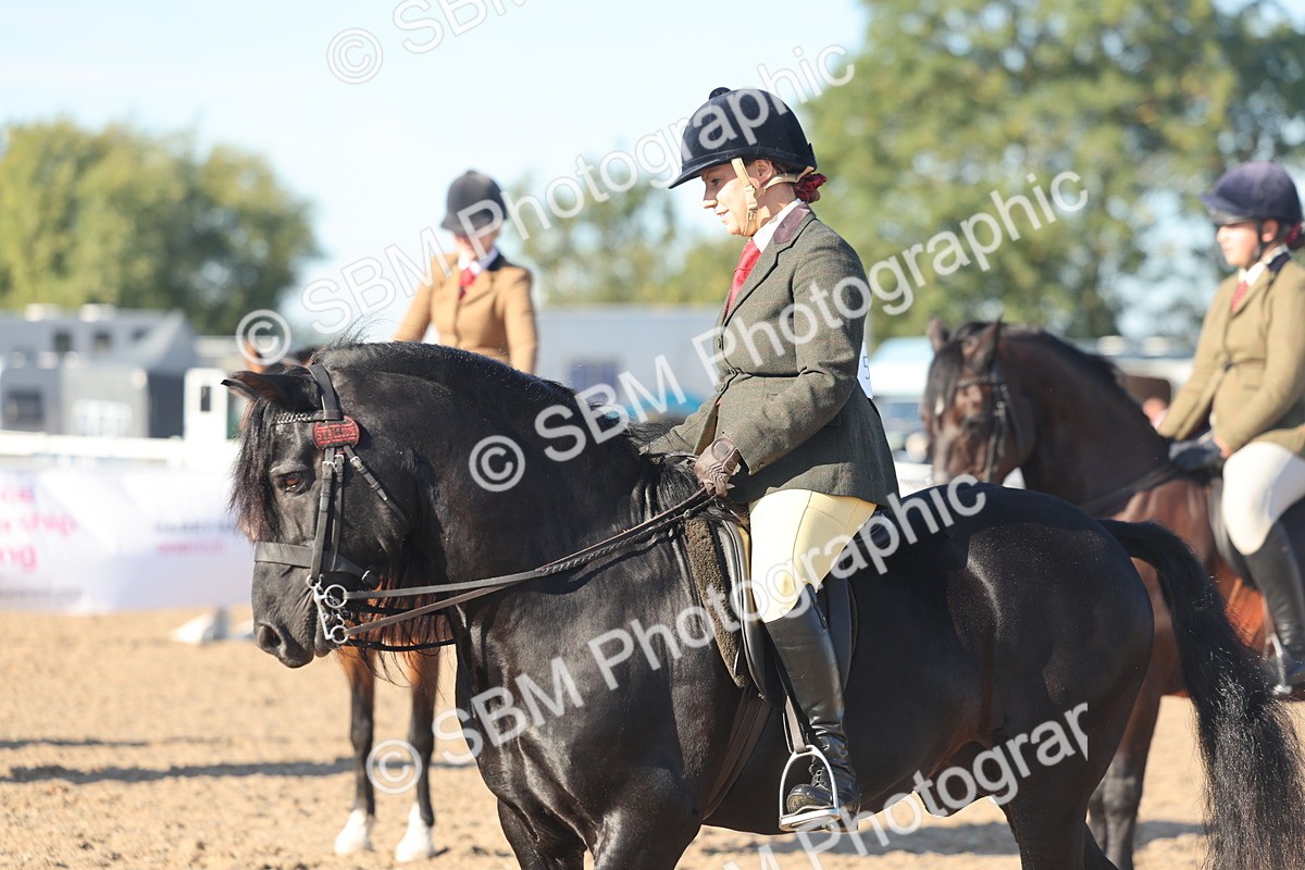 SBM_11088 - Class 302 - Ridden M&M Large Breeds