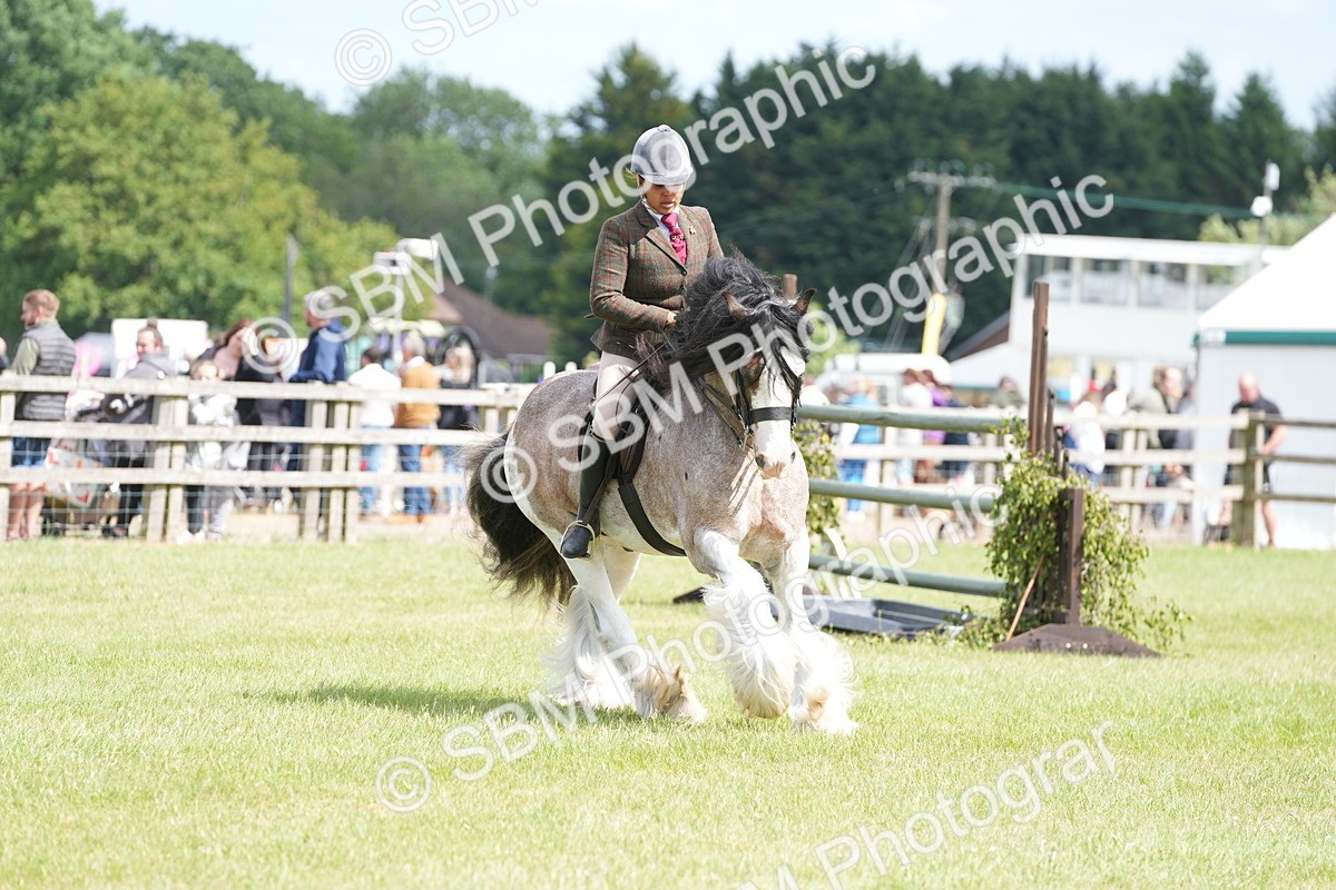 SBM_17204 - Class 107-108 - LIHS BSPS Performance Coloured Horse Pony