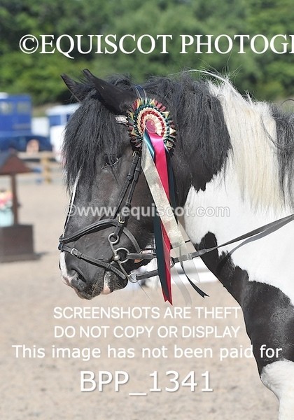 BPP_1341 - DERBY CLASS 1 - 20CM